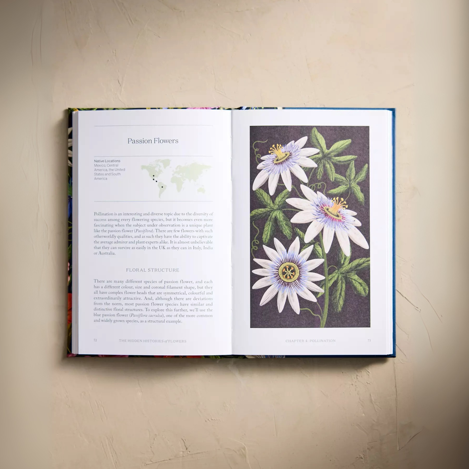 The Hidden Histories of Flowers